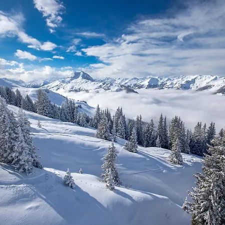 Hideaway Design By Belle