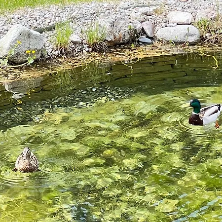 Dağ evi Hideaway Design By Belle *